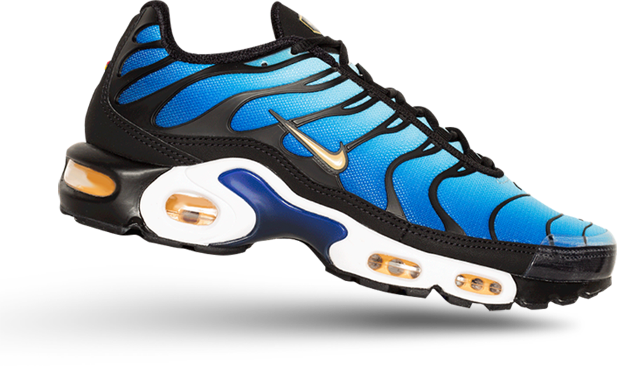 Picture of a Nike Air Max Plus Shoe